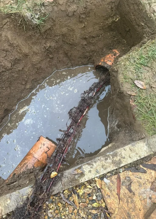 WhatsApp Image 2024-10-28 at 17.05.11 (2)