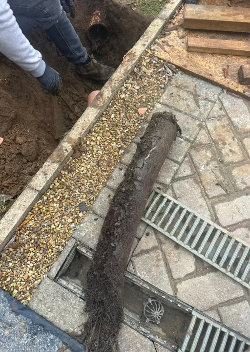 WhatsApp Image 2024-10-28 at 17.05.12 (1)